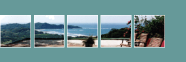 Real Estate Sales Development and Investment Opportunities in Guiones, Nosara, Guanacaste, Costa Rica
